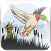 Hunting Duck Season
